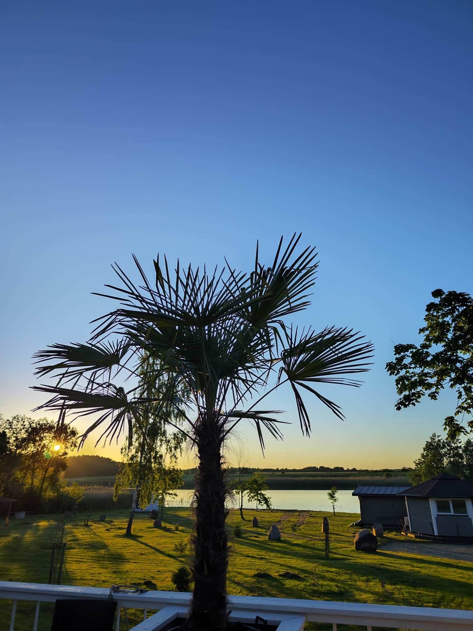 Saulėlydžio vaizdas iš Palm House terasos
